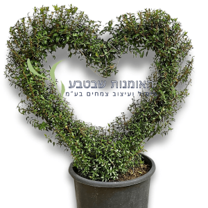 פיסול לב - קטן