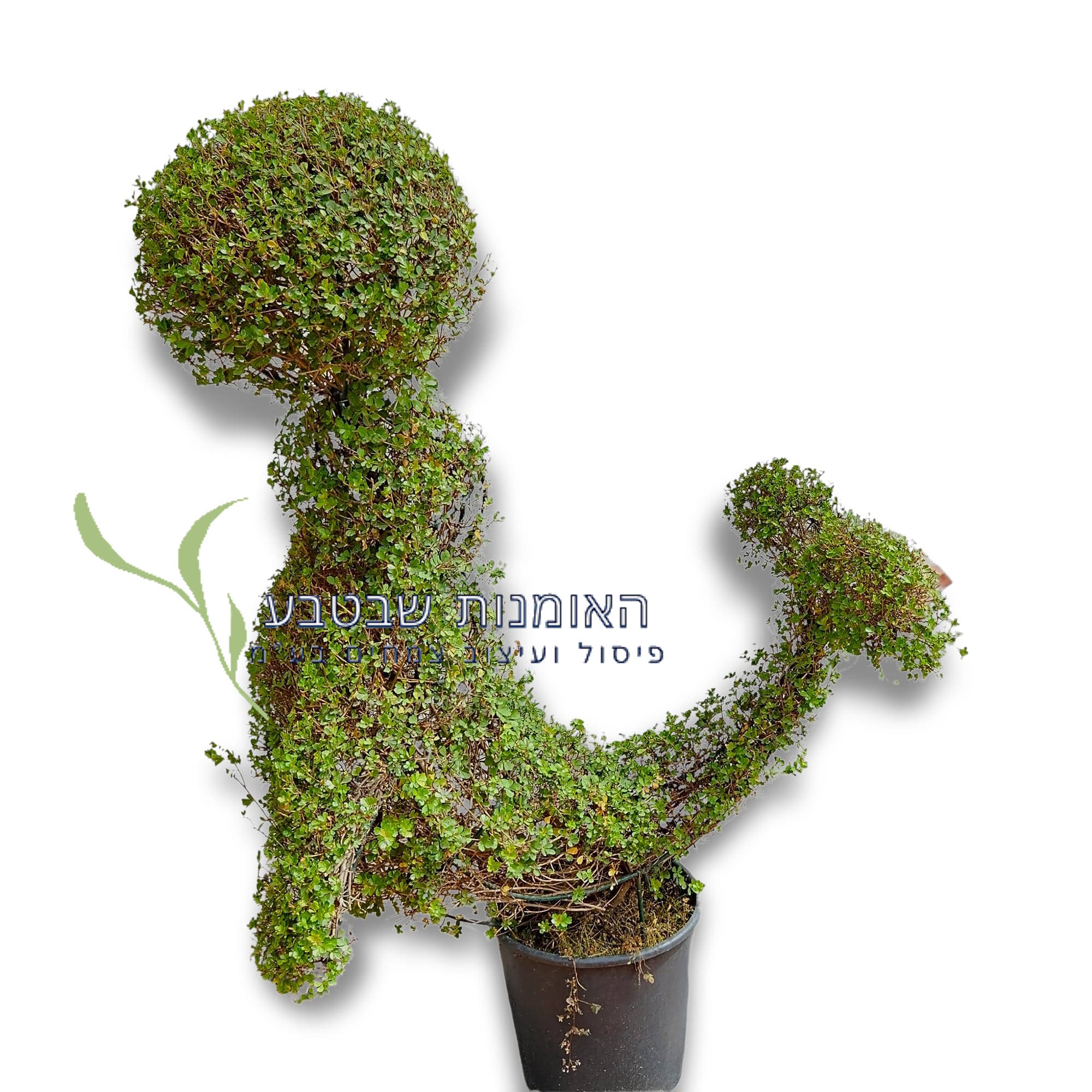 פיסול דולפין - קטן